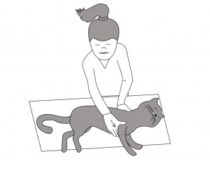 girl checking cat's heartbeat