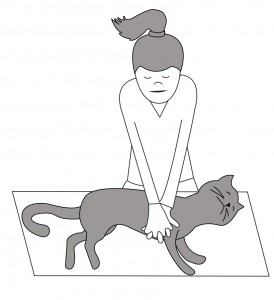 girl giving cat chest compressions