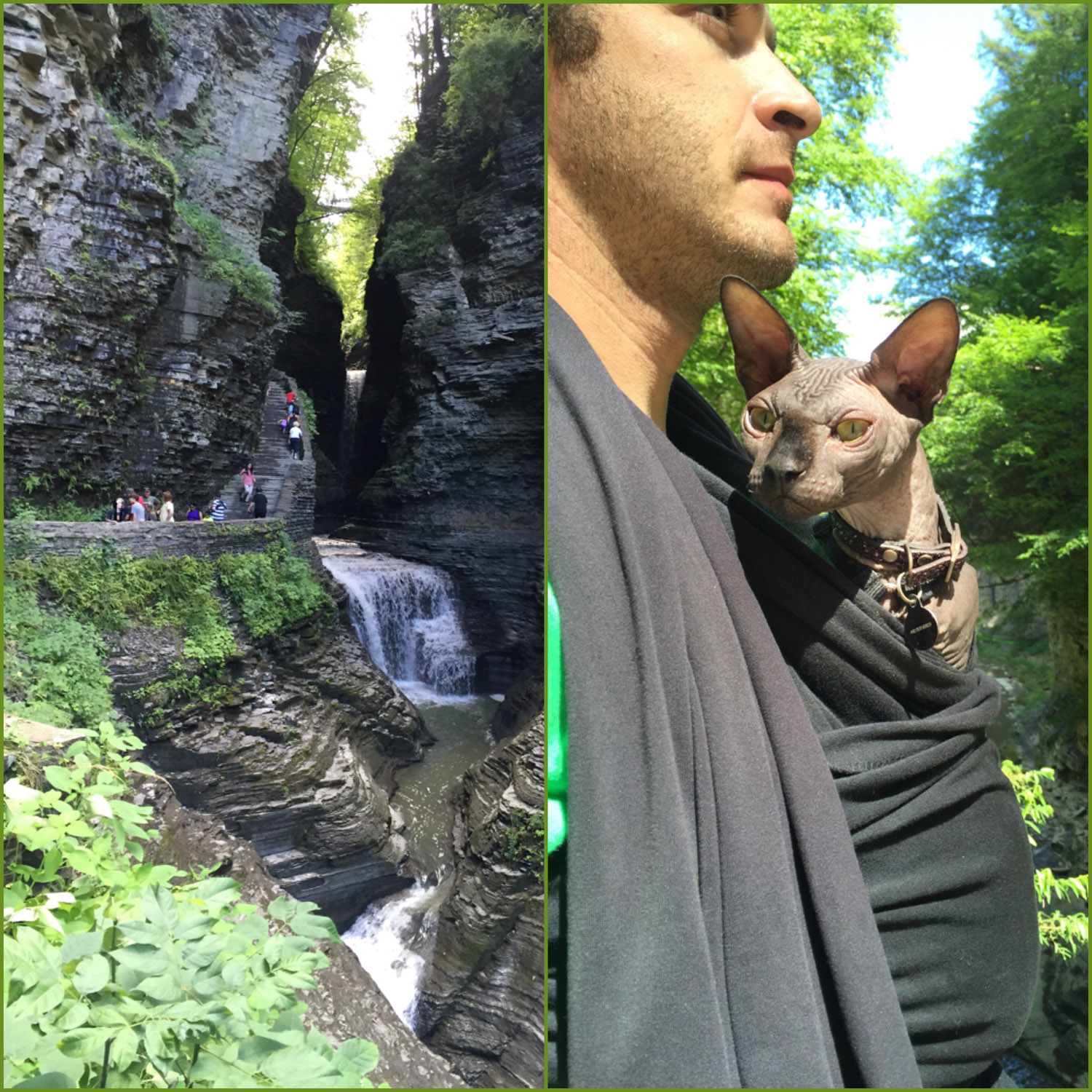 Omar's humans always have a Moby wrap on hand in case Omar needs a rest during their hike