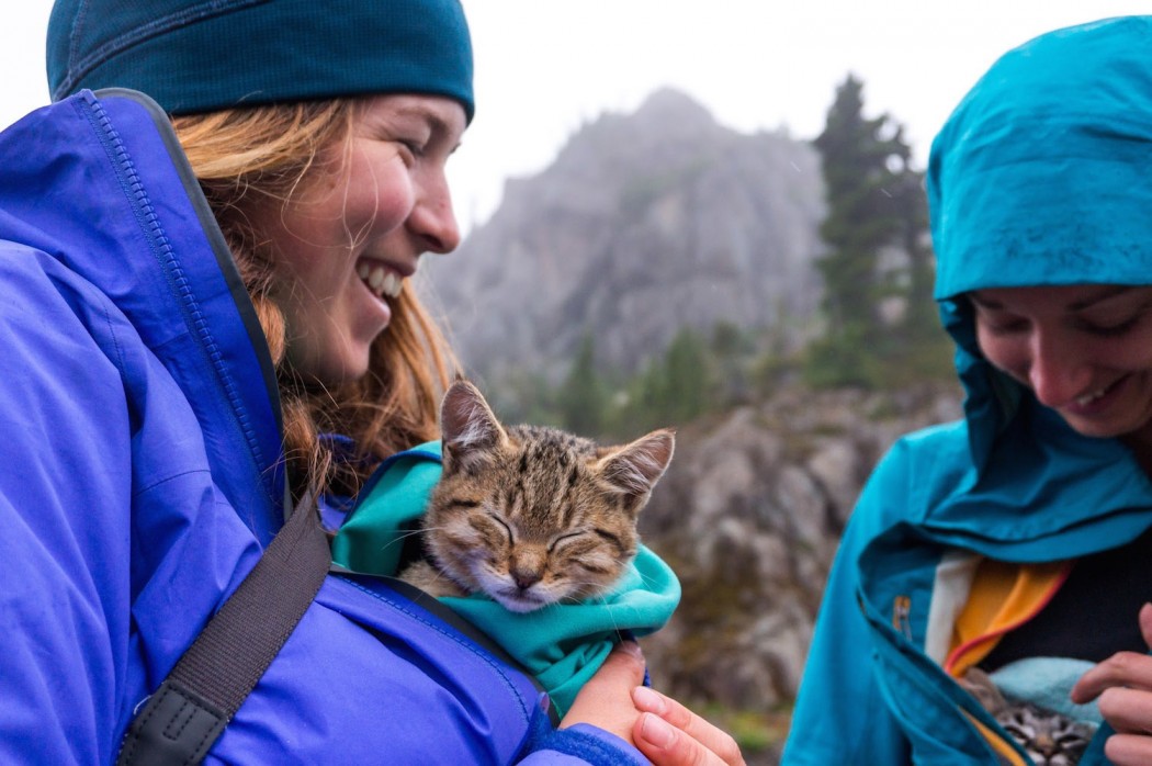 cuddling kittens on a hike