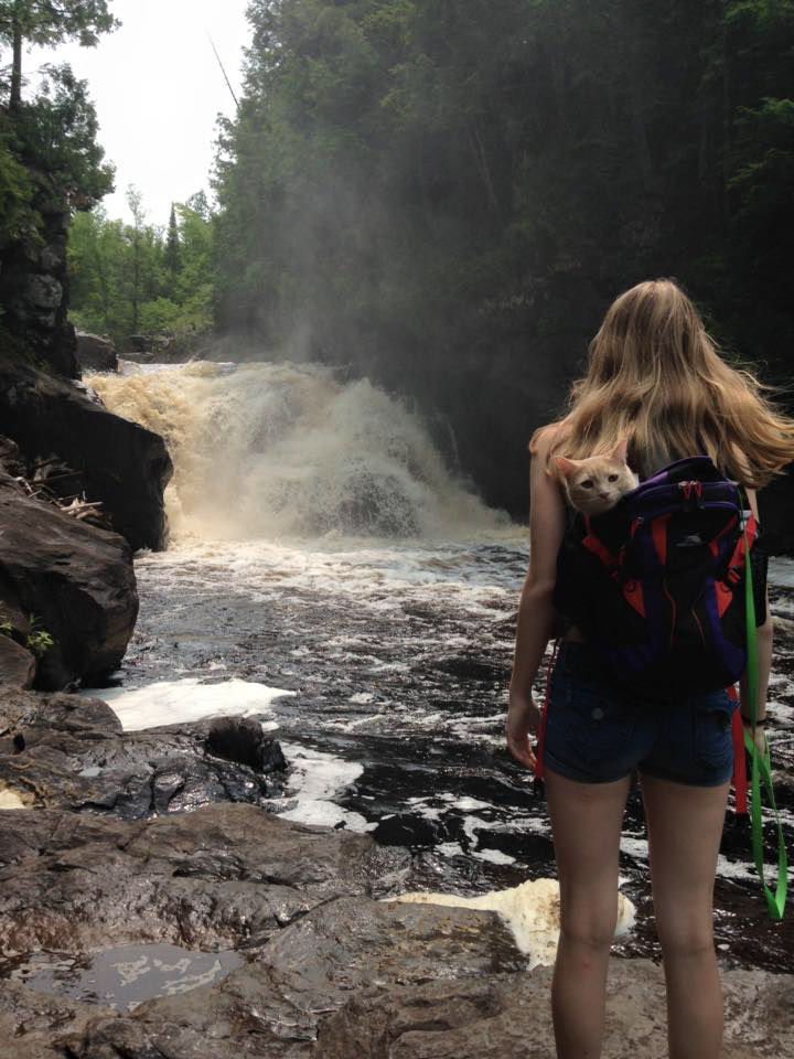 cat riding in girl's backpack