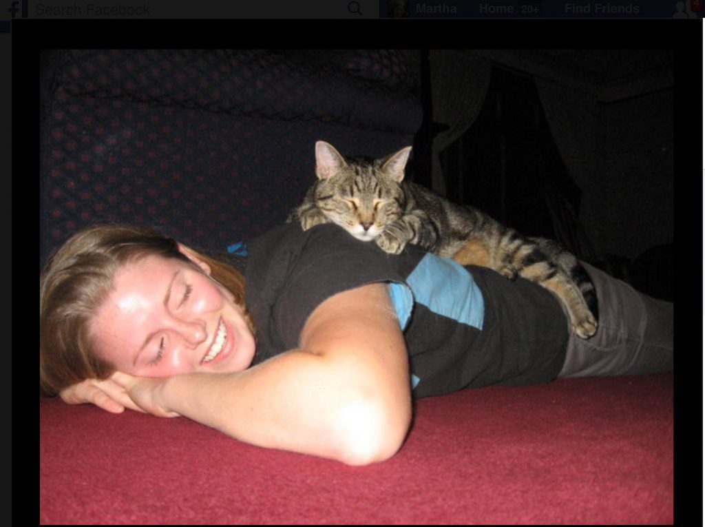 Toff the campus cat napping