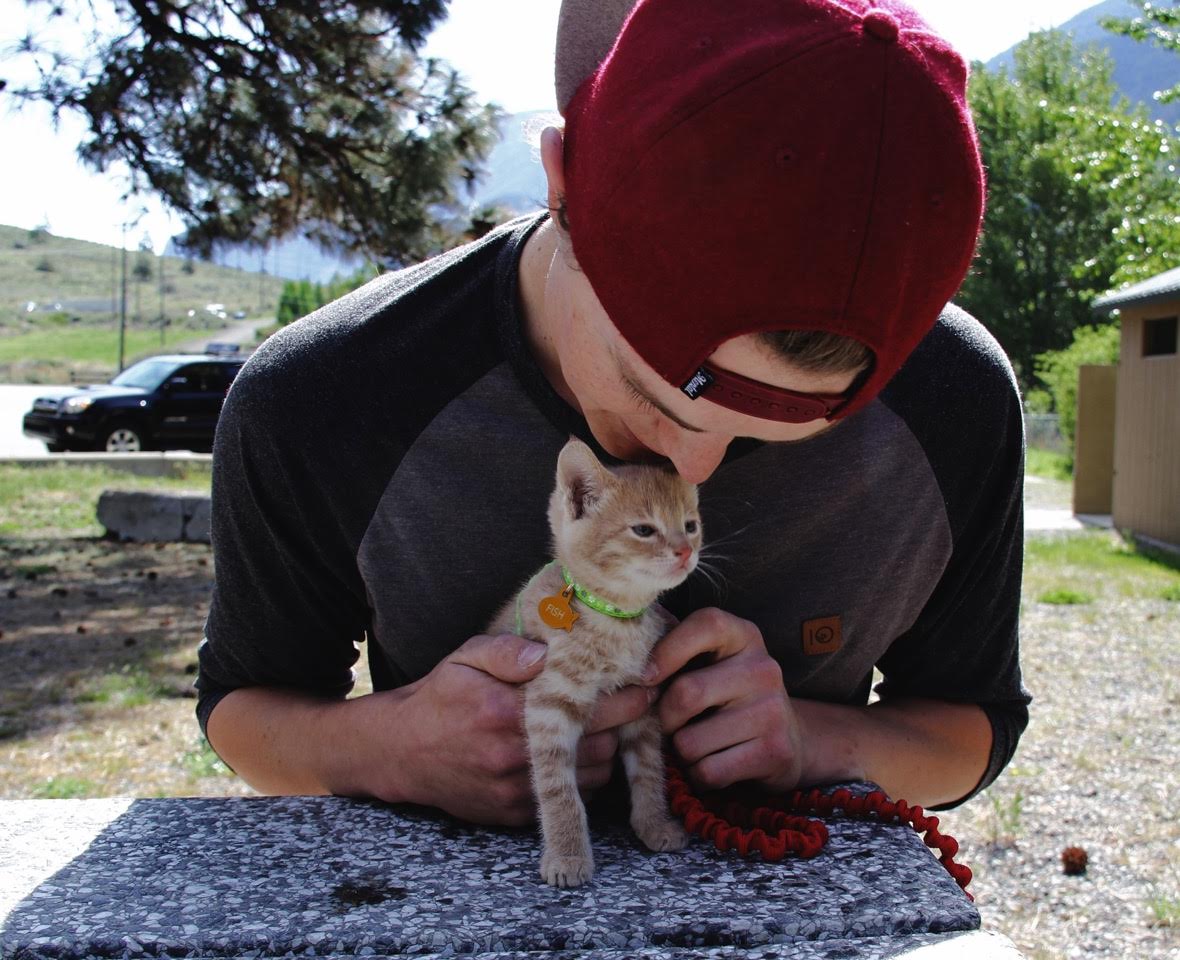 man cuddling orange kitten