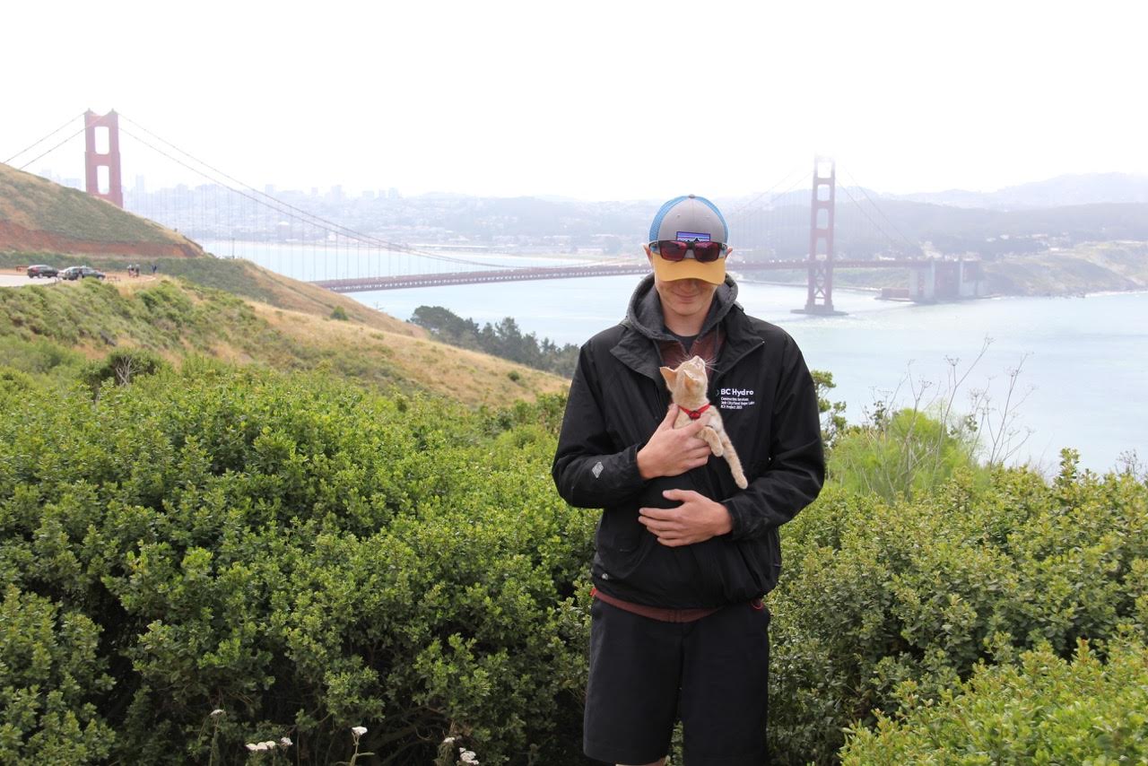 kitten on walk in San Francisco