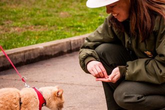 Park Ranger Angela Allison feeding treats to hiking cat at New River Gorge National River