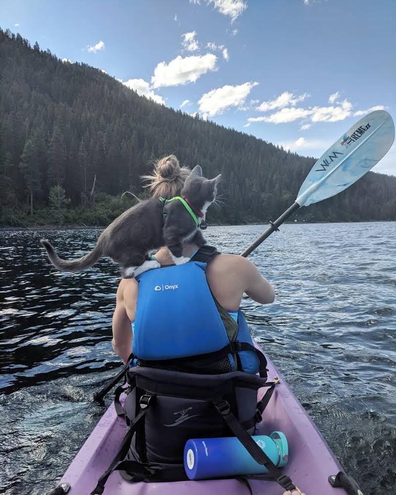 Parsley sits atop owner's shoulders while kayaking
