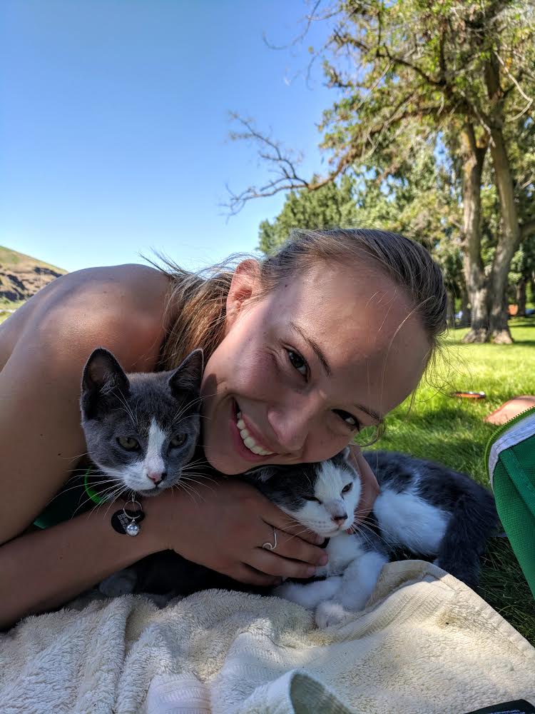 snuggling Parsley adventure kitten