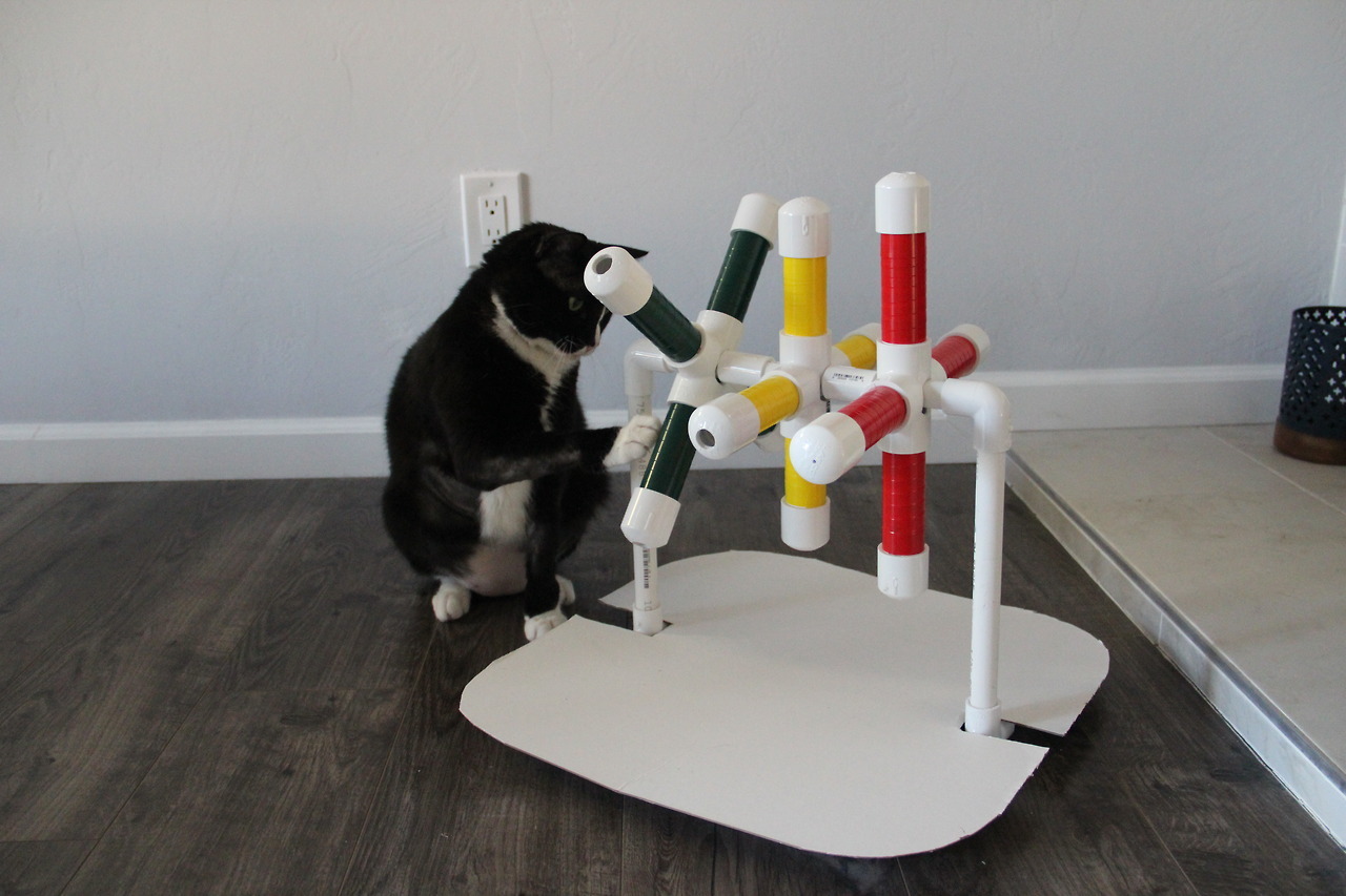 cat playing with homemade treat dispenser