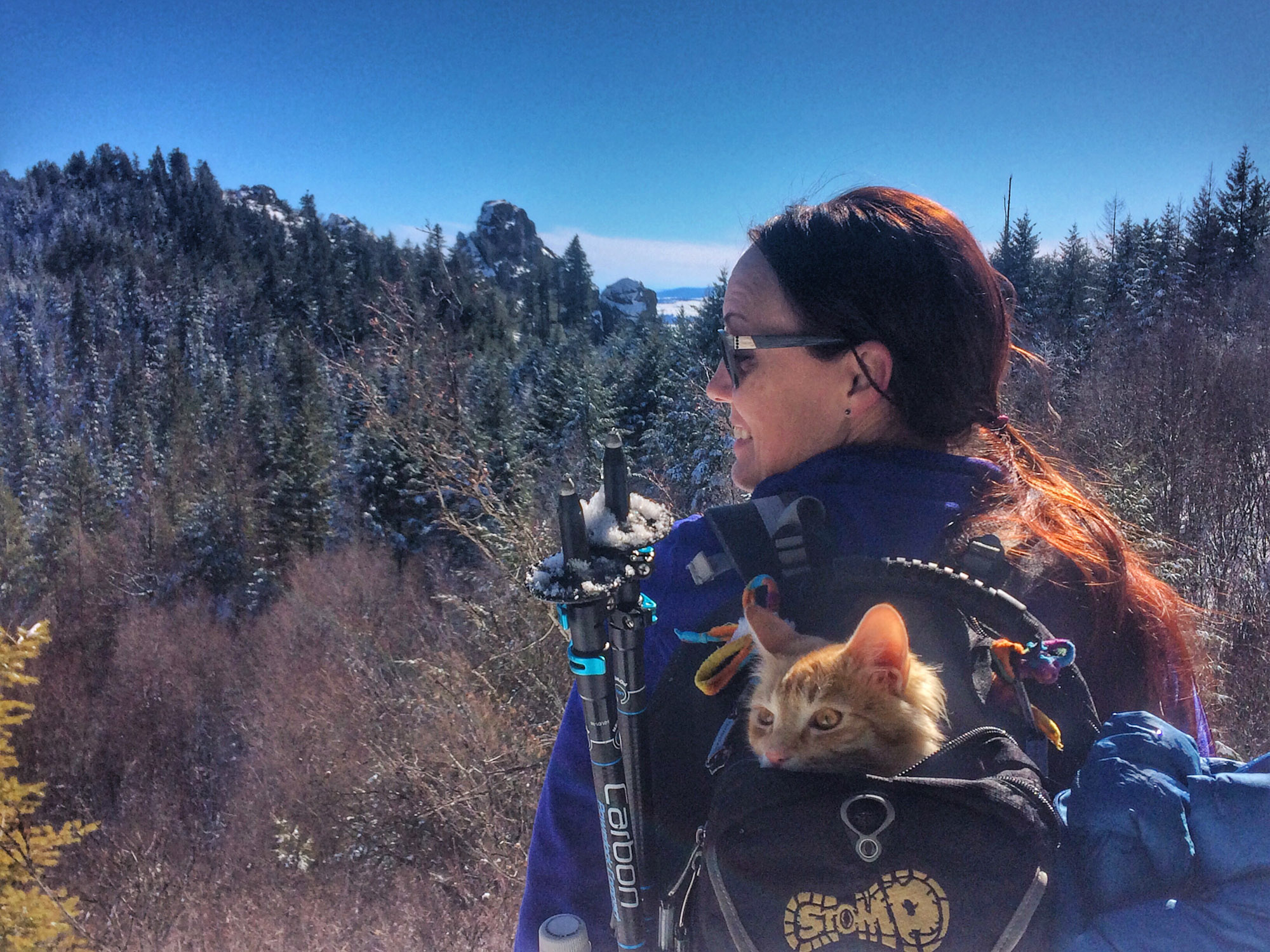 Leon adventure cat riding in backpack